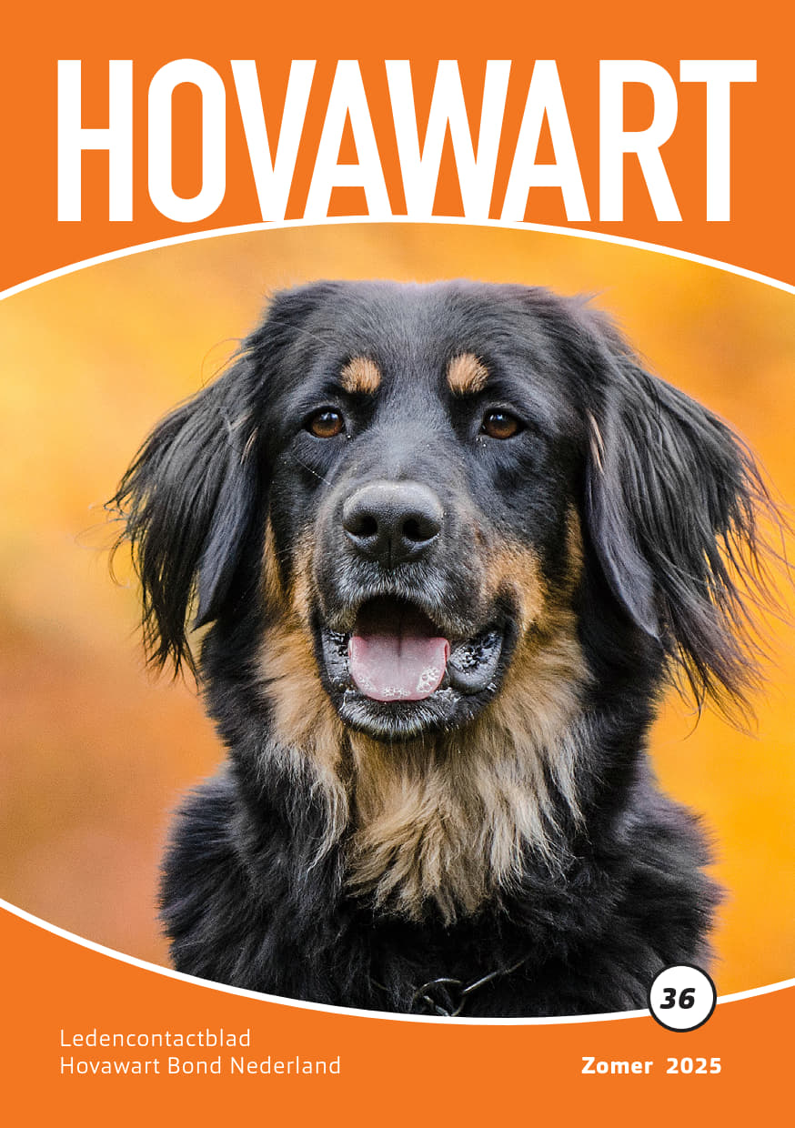 HBN Clubblad No36 Zomer 2025 Voorblad